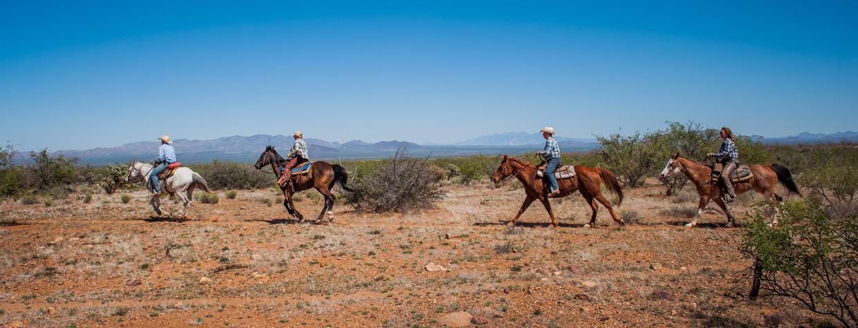Four horseback riders traveling through desert terrain. By Az Dude Ranch Association