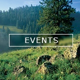 View Upcoming Events