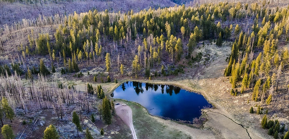 Ponderosa pines surround Aker Lake, a small reservoir in the Apache-Sitgreaves National Forests.