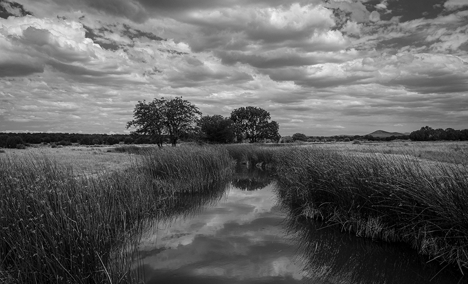 Black and White Wednesday: Silver Creek, in the White Mountains, flows beneath high clouds on a summer day.