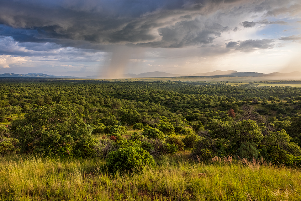 Photograph by Jeff Maltzman