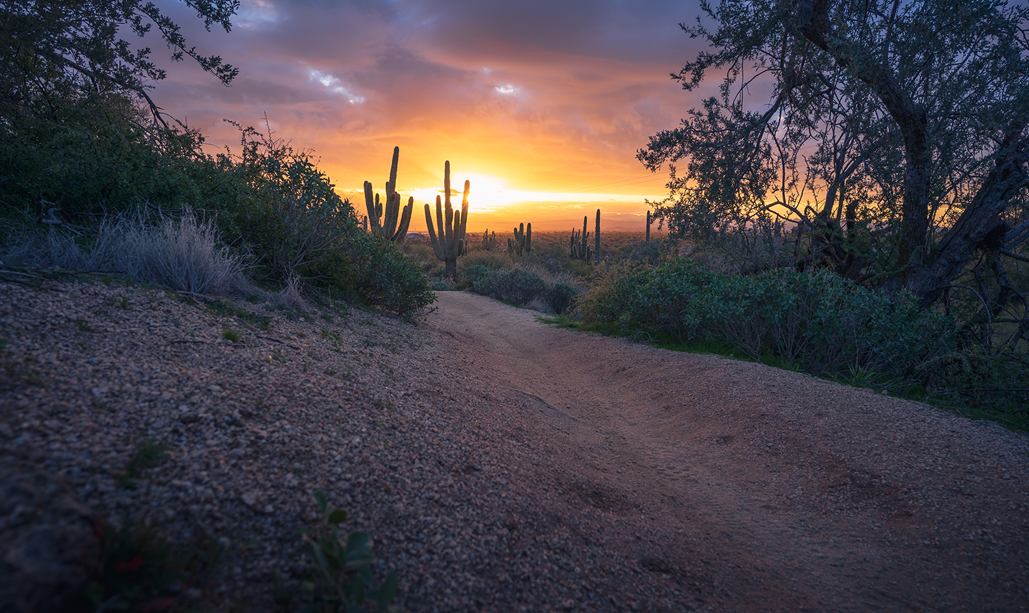 Photograph by Eric Mischke