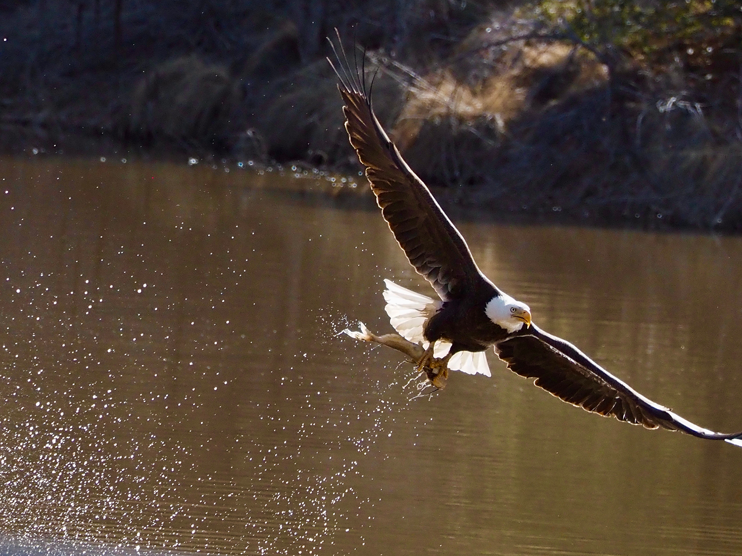 Photograph by Karen Shaw