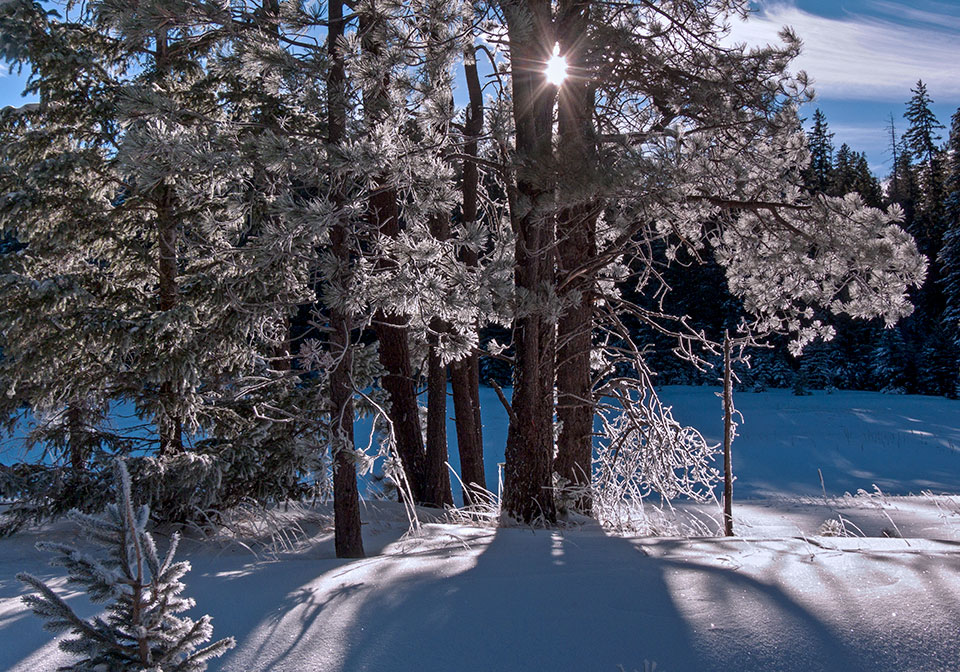 Photograph by David Muench