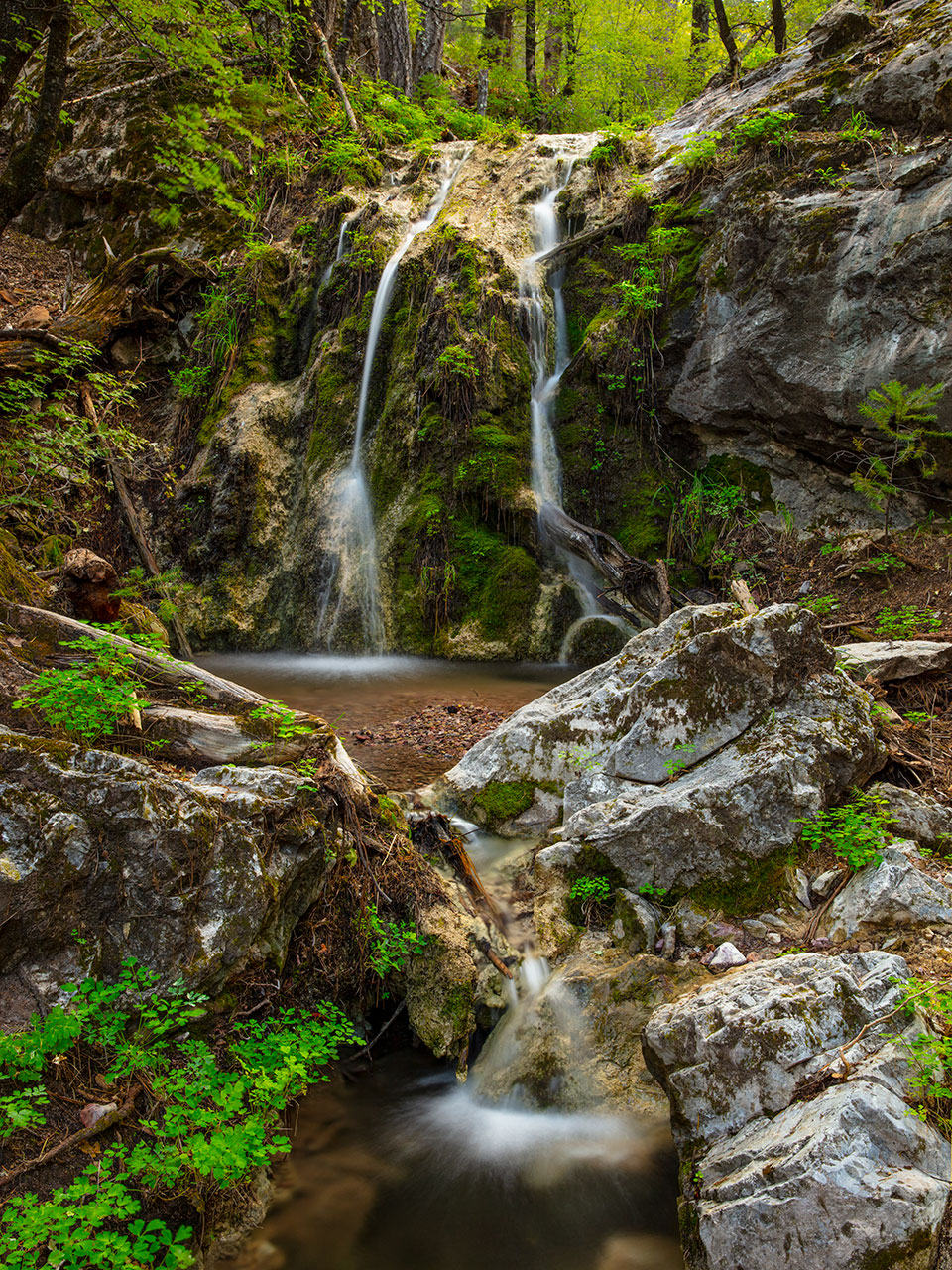 A small stream flows over a waterfall in Pat Scott Canyon, part of the Huachuca Mountains’ Miller Peak Wilderness. This Southern Arizona wilderness area is known for its deep canyons, high cliffs and diversity of bird and mammal species. Photograph by Joel Hazelton.