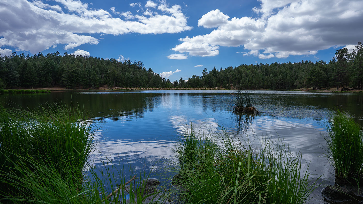 June 8, 2024 | Arizona Highways