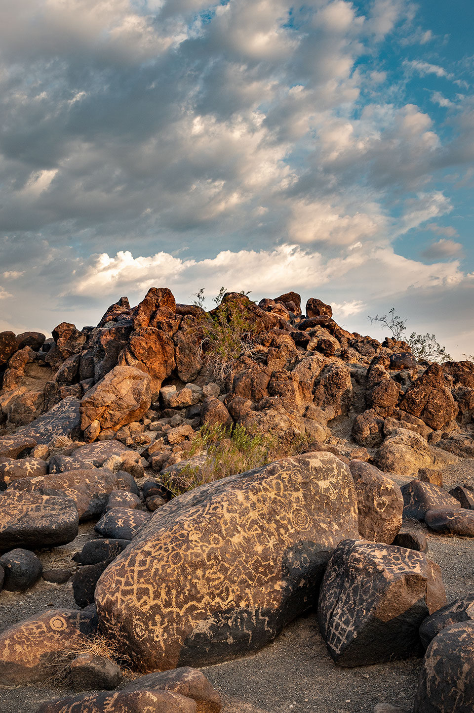 Dappled light illuminates a jumble of petroglyph-covered boulders at Painted Rock Petroglyph Site, east of Oatman Flats Ranch. Formerly a state park, the site now is maintained by the federal Bureau of Land Management. By Dawn Kish