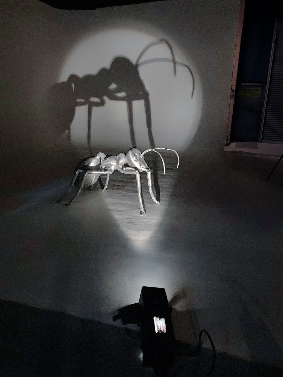 Studio spotlight setup with giant ant model casting an enormous shadow. Photo by Joseph Boldt.