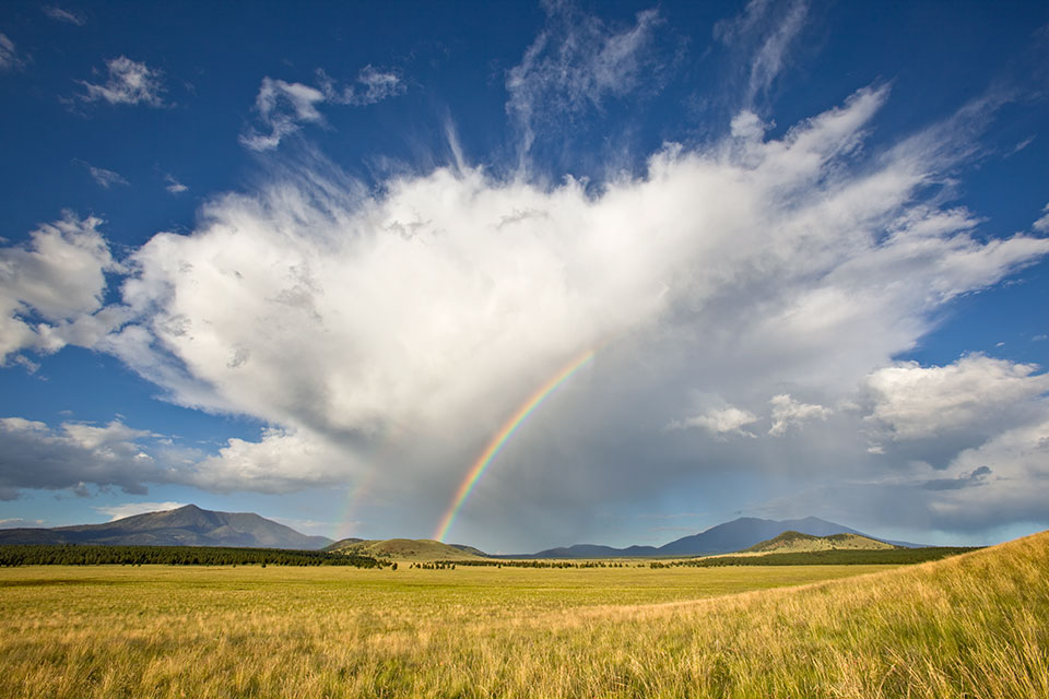 Kendrick Peak (left) and the San Francisco Peaks flank a pair of rainbows during a monsoon storm. This view is from Government Prairie, an expansive grassland about 15 miles northwest of Flagstaff.  By Tom Bean