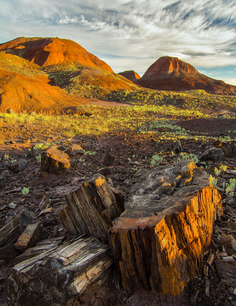 A few of the 220 million-year-old logs of Petrified Forest National Park catch the first rays of the day beneath a section of layered buttes. This spot is in the park’s northern section, most of which is a federally designated wilderness area.   Joel Hazelton