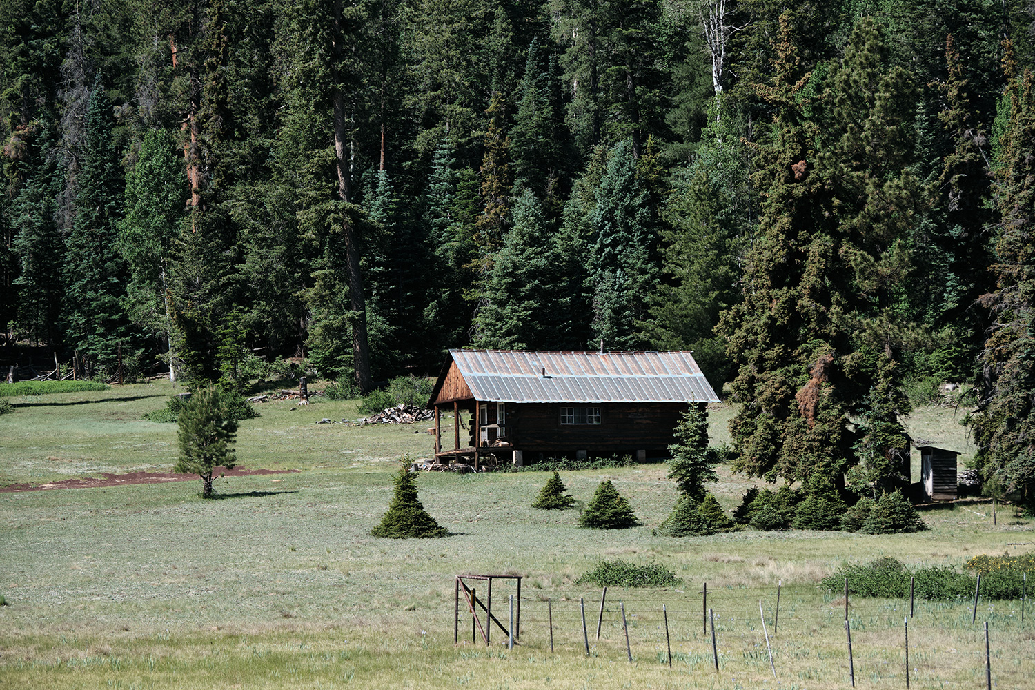 A serene high-country cabin sits among towering pines in the White Mountains of Eastern Arizona. By Jerry Dean