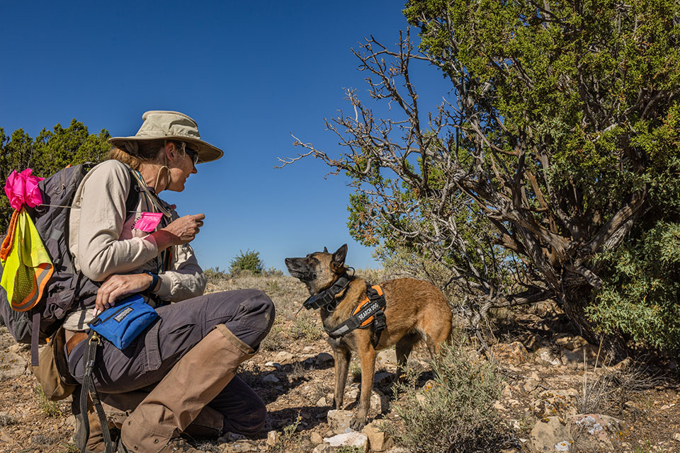 Oliver and Muon, a Belgian Malinois, take a break from the cactus search as temperatures climb. By Eirini Pajak