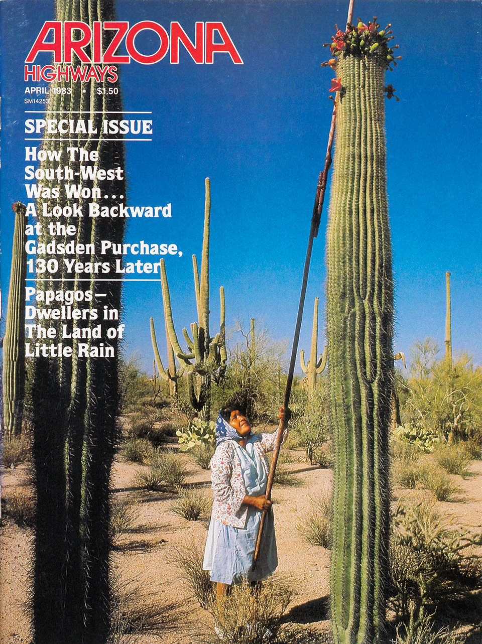 The cover of the April 1983 issue of Arizona Highways featured a photo of Stella Tucker’s grandmother, Juanita Ahil, harvesting saguaro fruit.