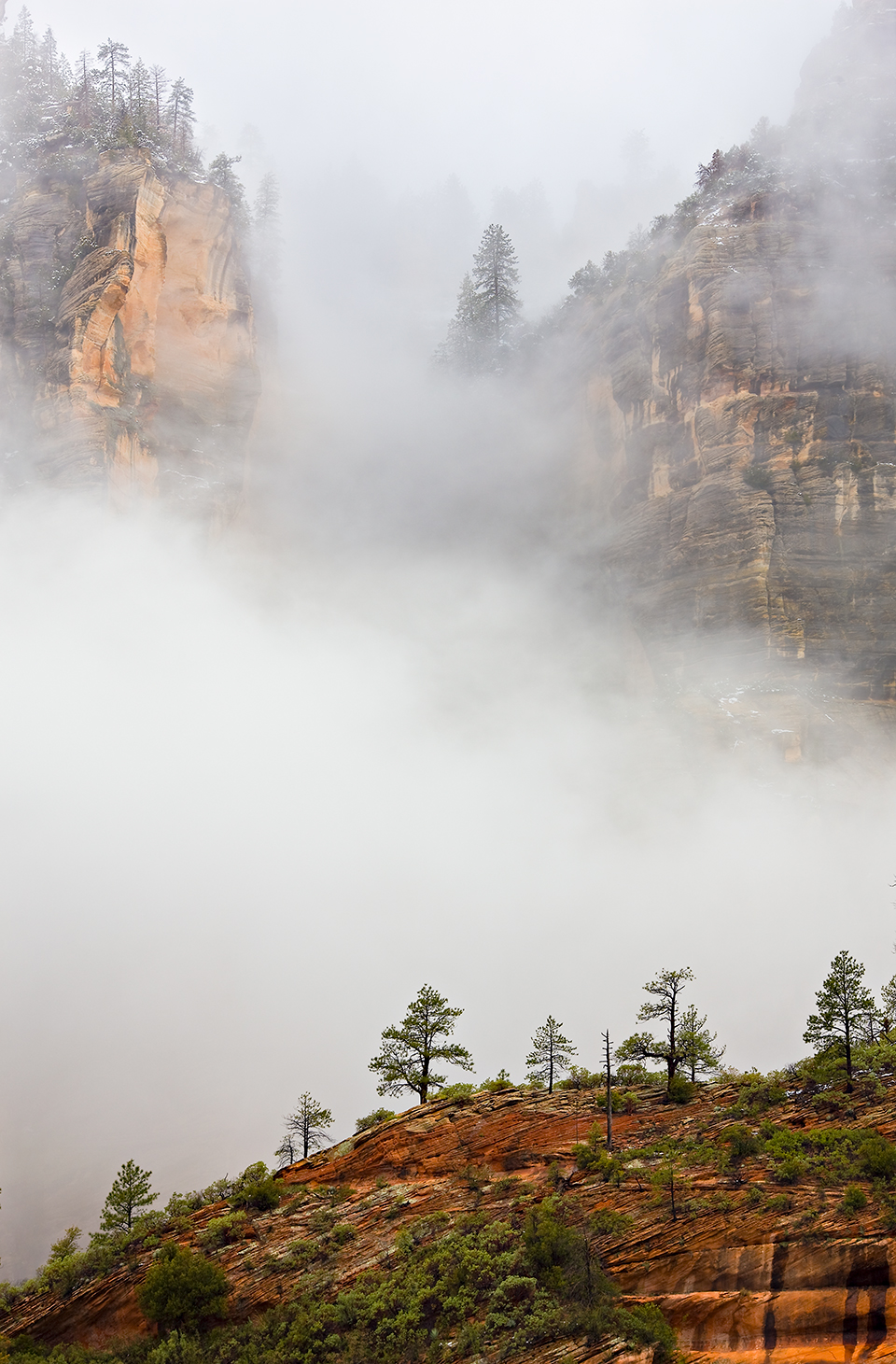 Late-winter fog shrouds the West Fork of Oak Creek, a well-traveled destination for those seeking a less paranormal way to connect with nature in Red Rock Country. | Derek von Briesen