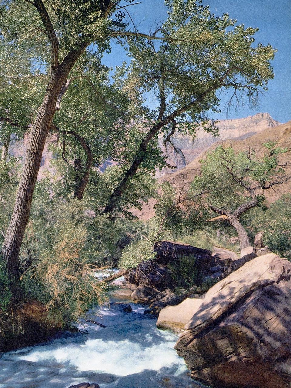 Fed by snowmelt, the Thunder River roars toward its confluence with the Colorado River in the Grand Canyon. By Allen C. Reed 