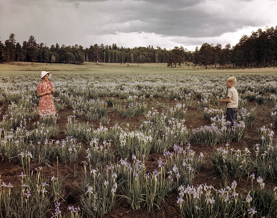 Josef Muench made this photo of his wife, writer Joyce Rockwood, and their son, David Muench, during one of the family’s many adventures in the White Mountains. | Northern Arizona University Cline Library