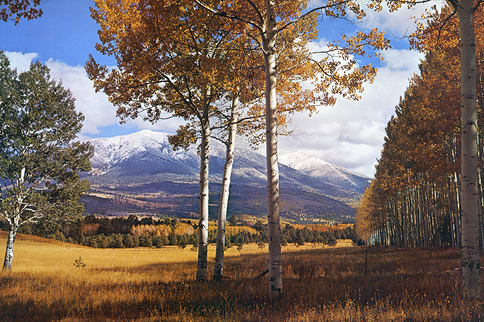 This photo of the San Francisco Peaks in autumn illustrates something most photographers in Bradshaw’s day weren’t doing: making photos during the “magic hour.” 