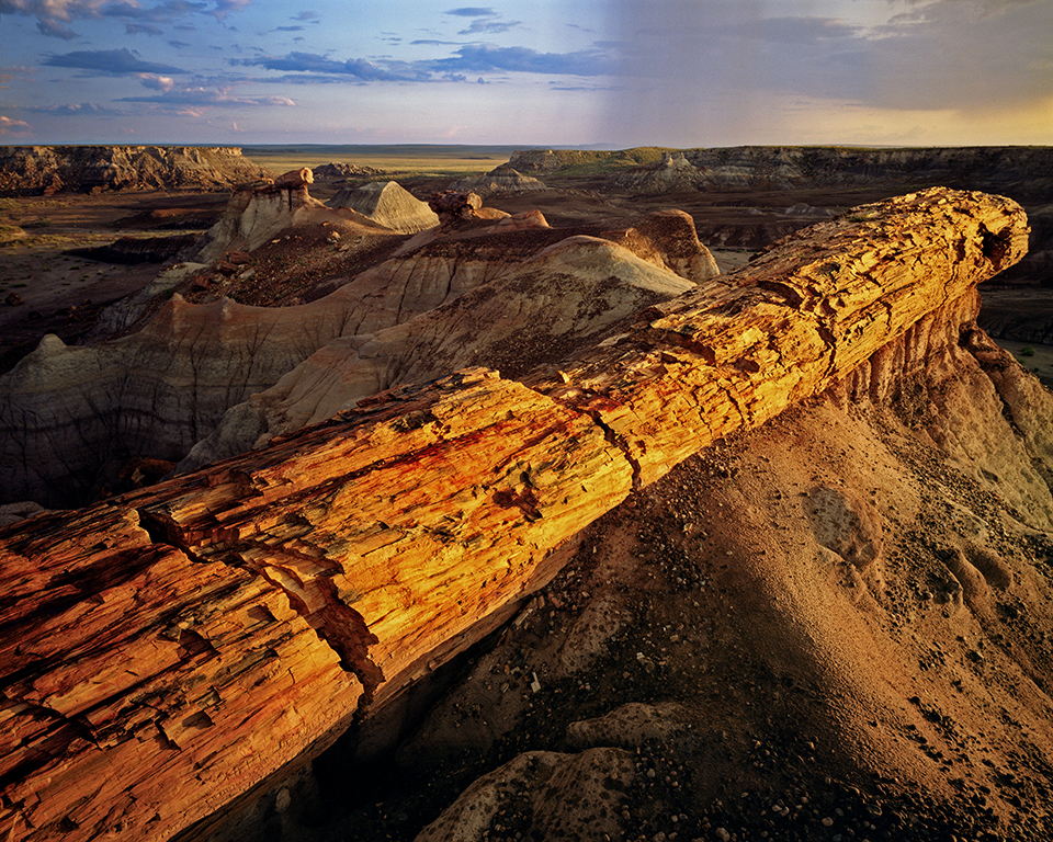 In this David Muench photo from Petrified Forest National Park, the hard leading line of the petrified wood in the foreground leads the viewer to the rainfall in the background.