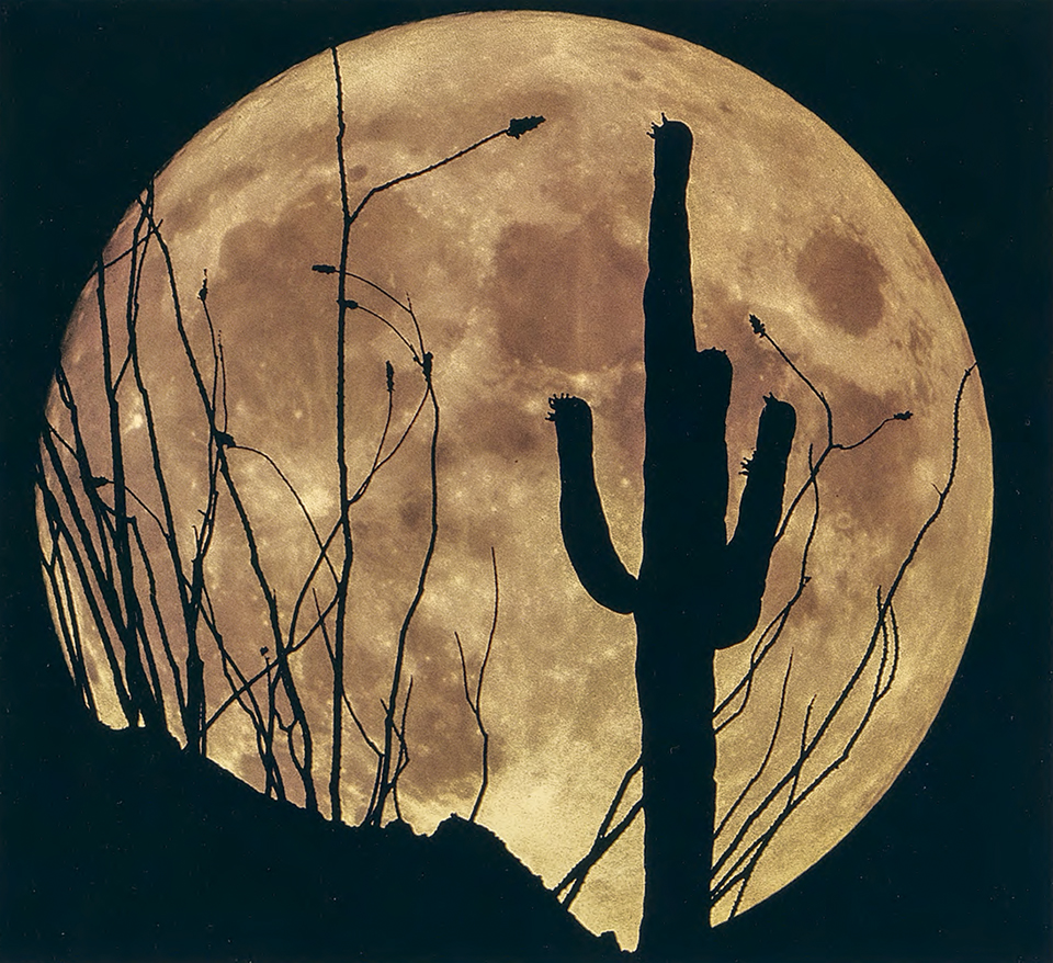 Frank Zullo had to photograph the saguaro and chollas, then merge that shot with a color photo of the moon.