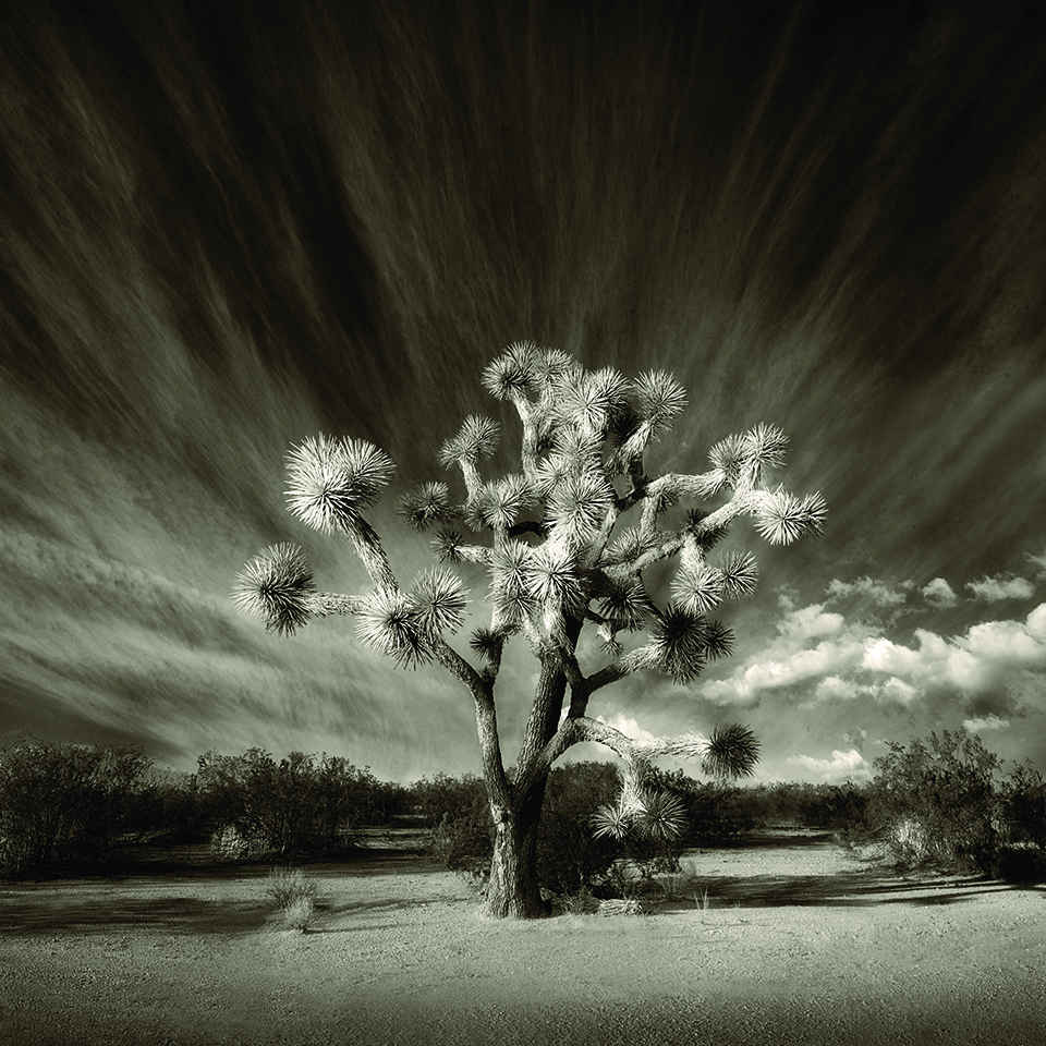 This BW image is a composite of different photos of the sky and the desert landscape by Joel Grimes.