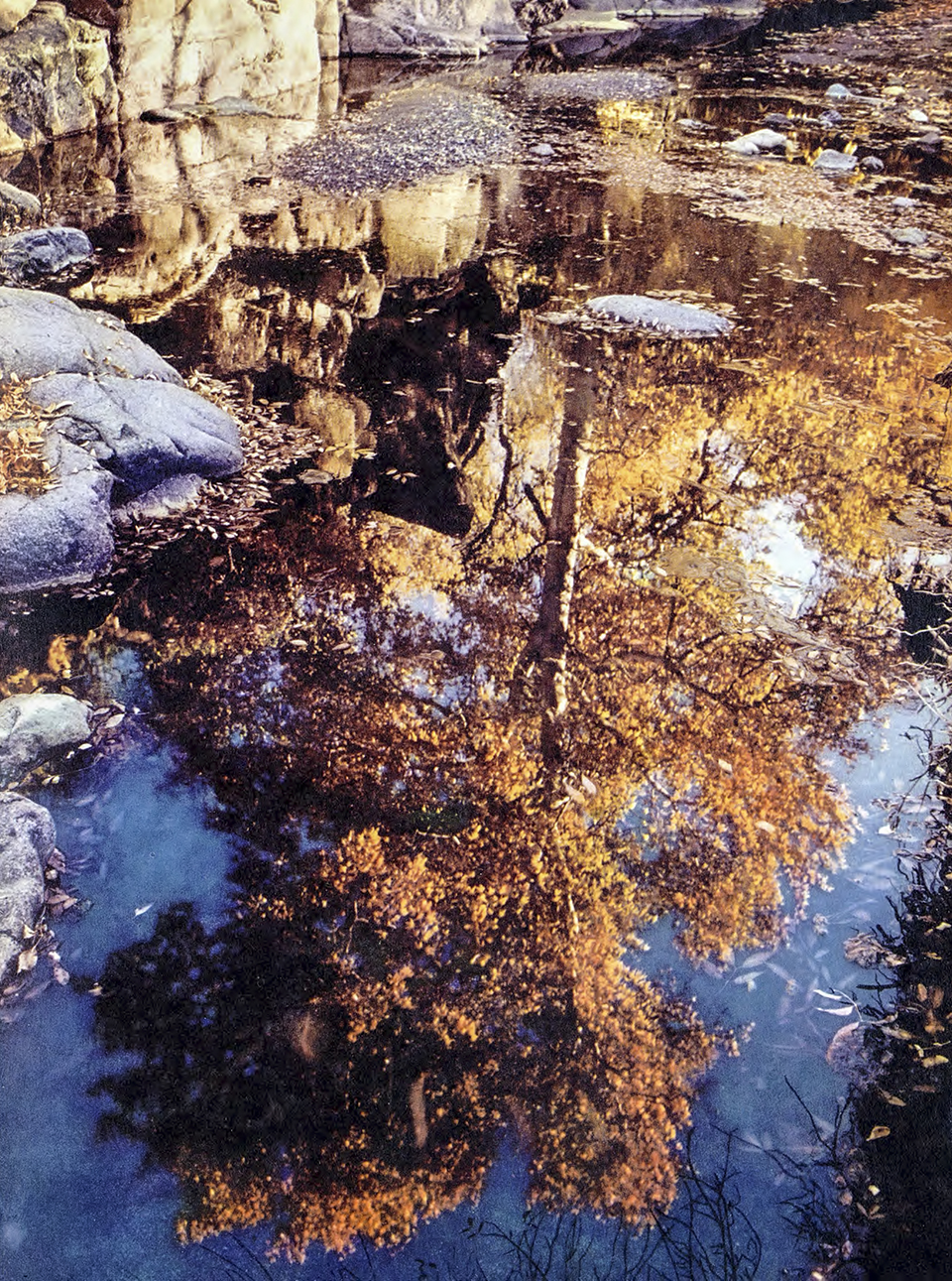 Allen C. Reed was among the best at capturing fall color, such as in this lovely reflection shot.