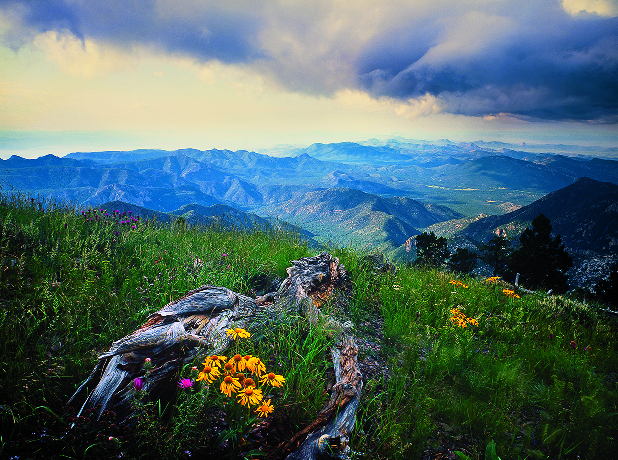 Unobstructed views stretch to the horizon from Monte Vista Peak in Southeastern Arizona’s Chiricahua Wilderness, where the highest point is 9,759 feet atop Chiricahua Peak. By David Muench