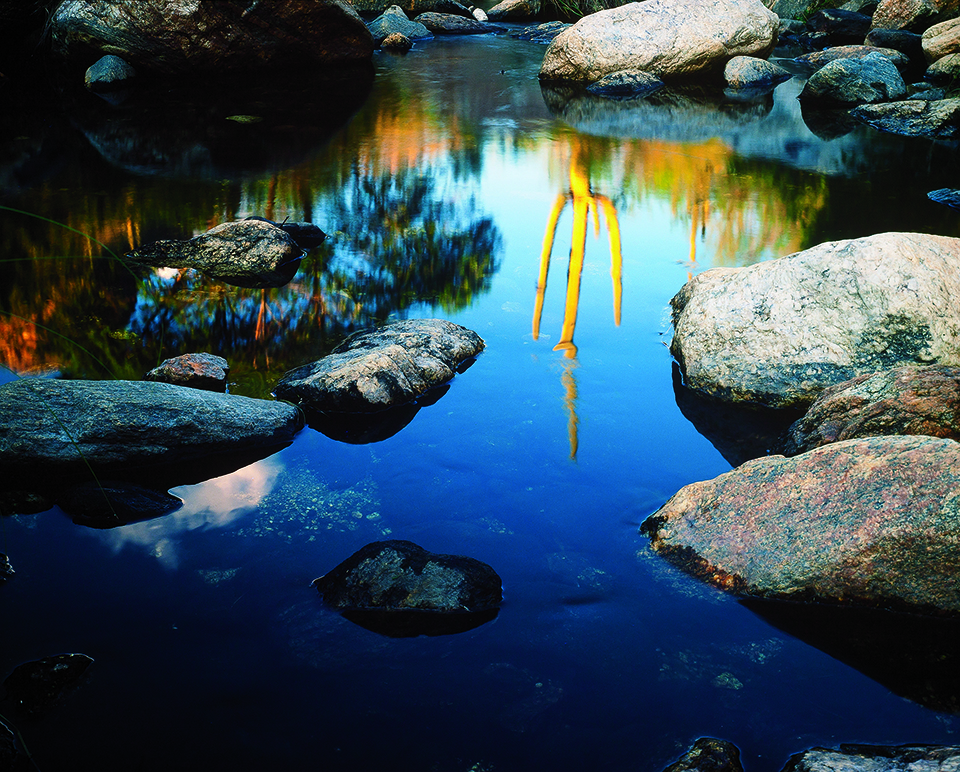 The Bear Canyon area of the Santa Catalina Mountains near Tucson is one of the range’s normally wetter areas. Mount Lemmon tops the range at 9,157 feet. | David Muench