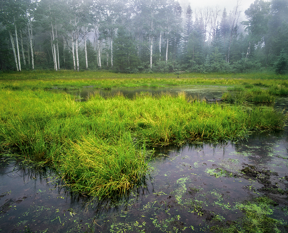 Summer rains fill Greenland Lake, an ephemeral pond near the Grand Canyon’s North Rim. This destination is along the road to Cape Royal, one of the North Rim’s most popular overlooks. By George H.H. Huey