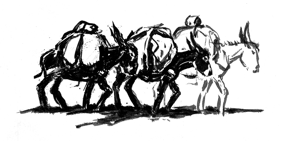 Black and white illustration by Ross Santee of mules carrying packs.
