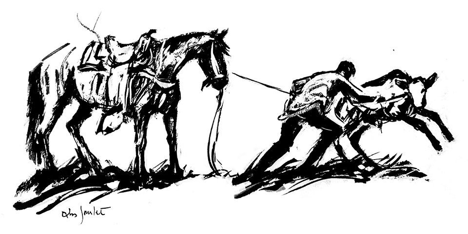 Black and white illustration by Ross Santee of a cowboy roping a calf that's tied to his horse.
