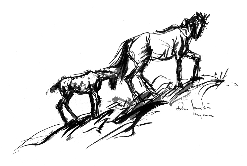 Black and white illustration by Ross Santee of a mare leading a colt up a hill.