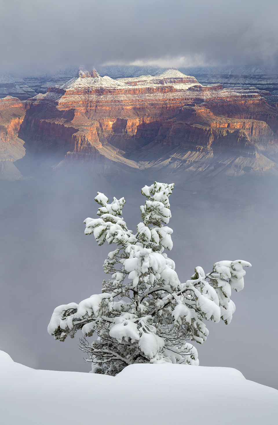 Yavapai Point, on the South Rim of the Grand Canyon, offers a view across the Canyon to the North Rim during a winter storm. While the South Rim is open to visitors year-round, heavy snowfall typically makes the North Rim inaccessible for much of the year. | Paul Gill
