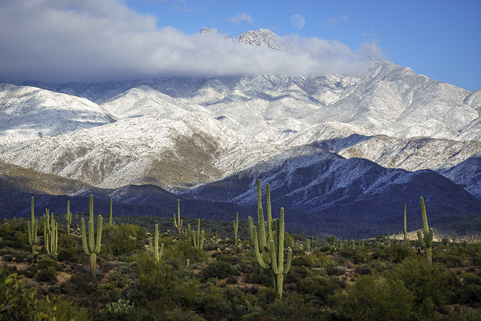 The Four Peaks, covered with snow and shrouded by clouds, form the backdrop for a Sonoran Desert landscape of saguaro and cholla cactuses. Visible from the Phoenix area, the Four Peaks often display heavy snowfall in winter. | Rusty Childress