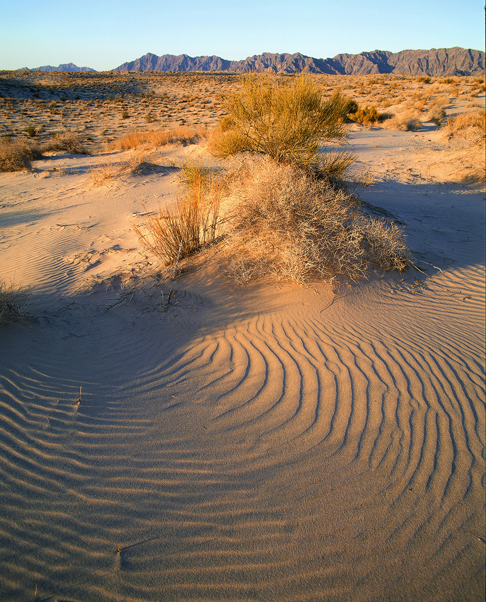 The treacherous sands of El Camino del Diablo give no hint of the life-giving water holes scattered throughout its vast, trackless territory. | PETER ENSENBERGER