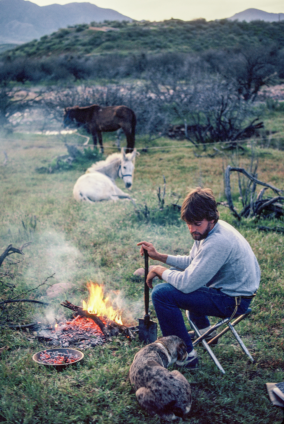 Near Theodore Roosevelt Lake, Troy cooks dinner and relaxes with the mules and Little Boogie, a cattle dog who joined them during the hike. Of note, this fire does not conform to Leave No Trace principles, which hadn’t been established yet — fires like this were typical back then.