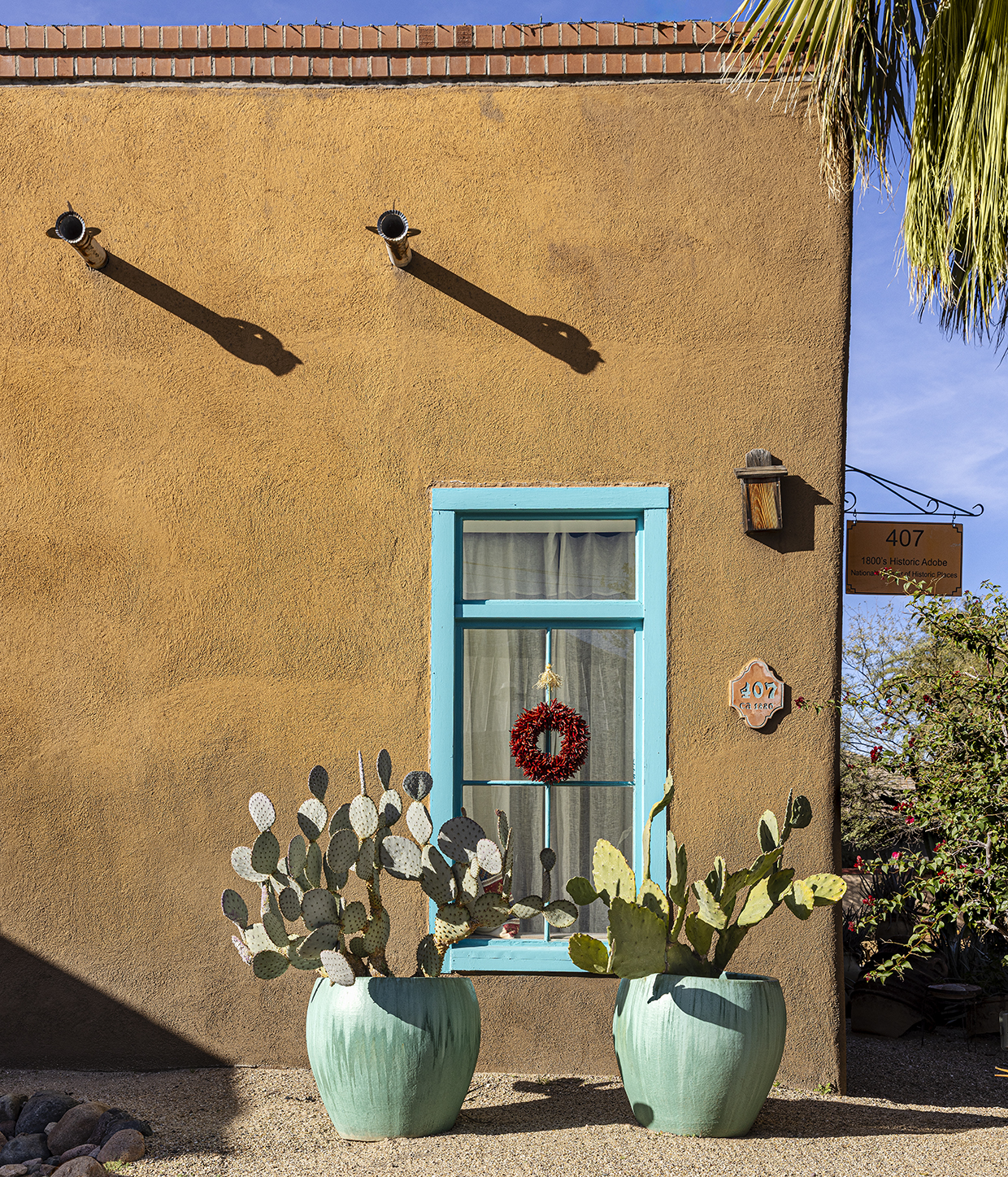 A building in Tucson's El Presidio barrio shows off a brightly-painted window frame flanked by two large light green ceramic pots housing prickly pear cactus. By Steven Meckler