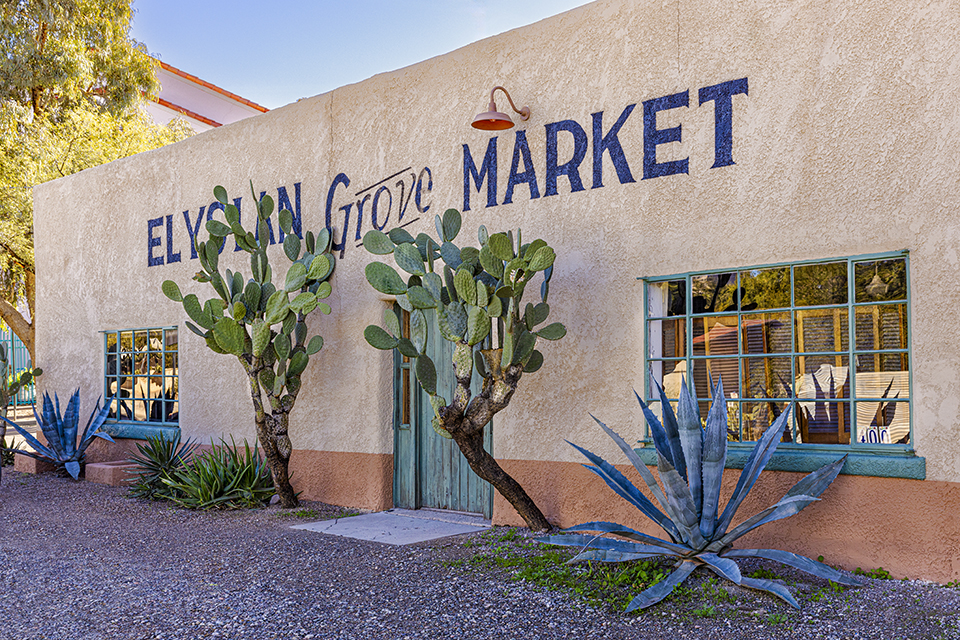 The entrance to the ELYSIAN GROVE MARKET, BARRIO VIEJO, is flanked by two giant prickly pear cactuses. By Steven Meckler