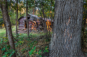 Where Is This? photograph of a log cabin in a forest is by Larry Lindahl