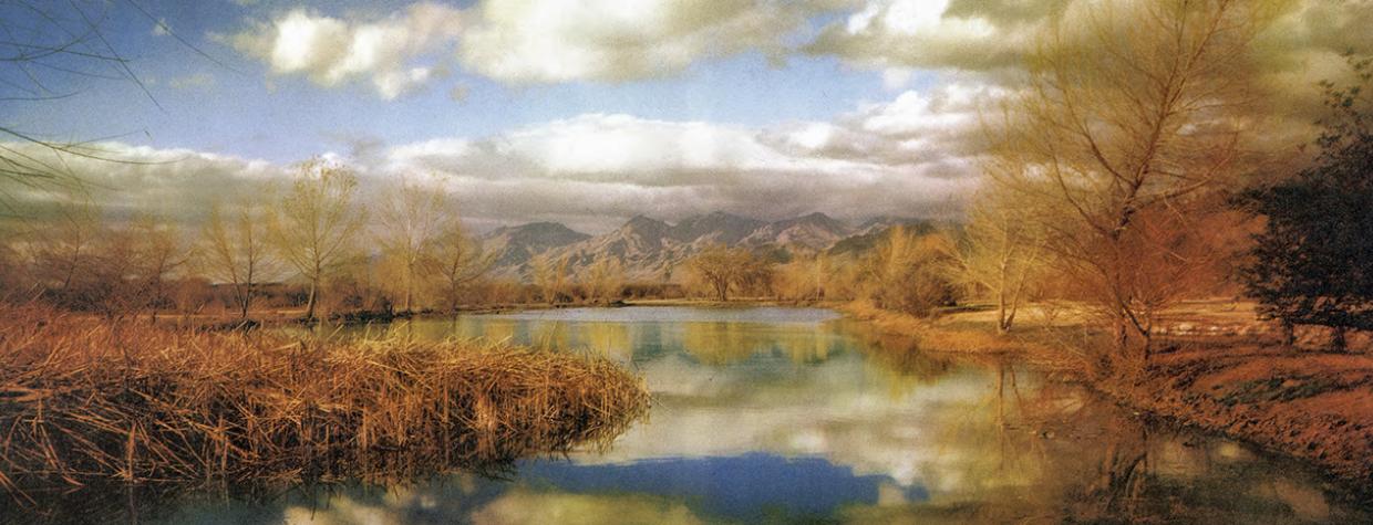 This painterly photograph by Esther Henderson shows autumn foliage and cloudy blue skies reflected in a lake with mountains in the background..