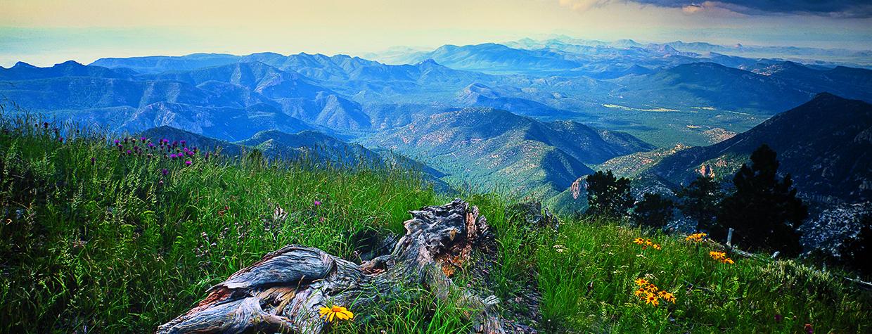 Unobstructed views stretch to the horizon from Monte Vista Peak in Southeastern Arizona’s Chiricahua Wilderness, where the highest point is 9,759 feet atop Chiricahua Peak. By David Muench