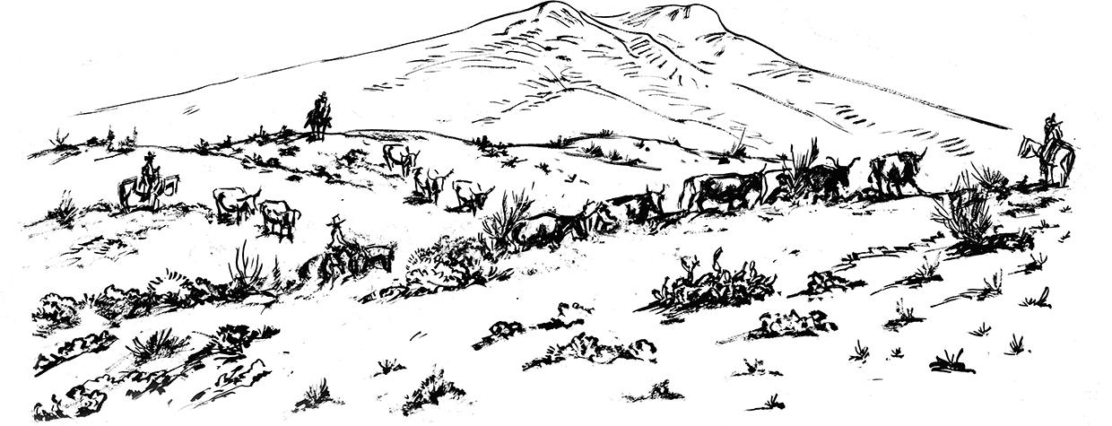 Black and white illustration by Ross Santee of a cattle drive with sparse vegetation.