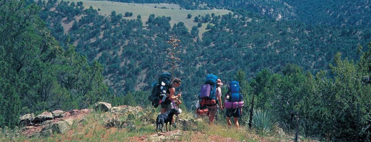 hike_1111_c_mescalridge.jpg