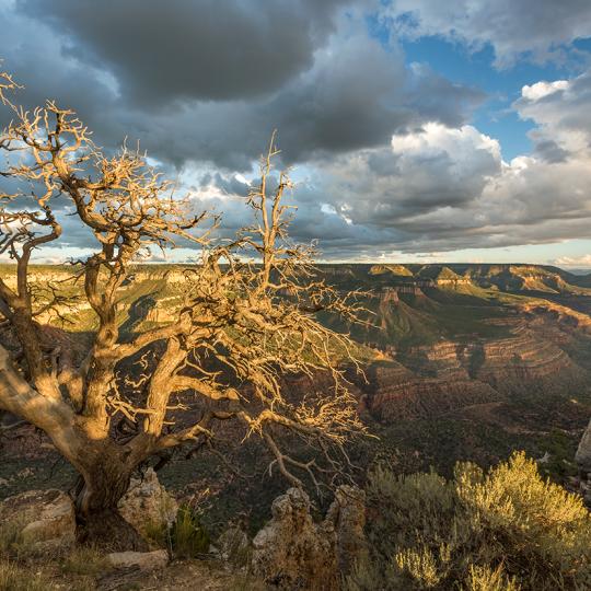 A sprawling view of the Grand Canyon  is the reward at the end of the long drive to  Crazy Jug Point. By Paul Gill