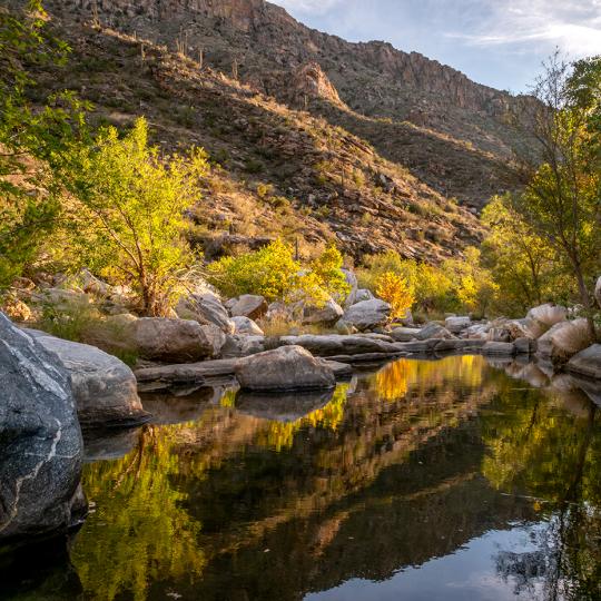 A placid pool mirrors rocks, vegetation and saguaro-studded slopes along the Sabino Canyon Trail. By Jeff Maltzman