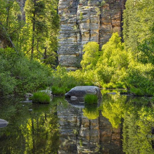 Late-afternoon light illuminates foliage along a placid pool near the Maxwell Trail. | Joel Hazelton
