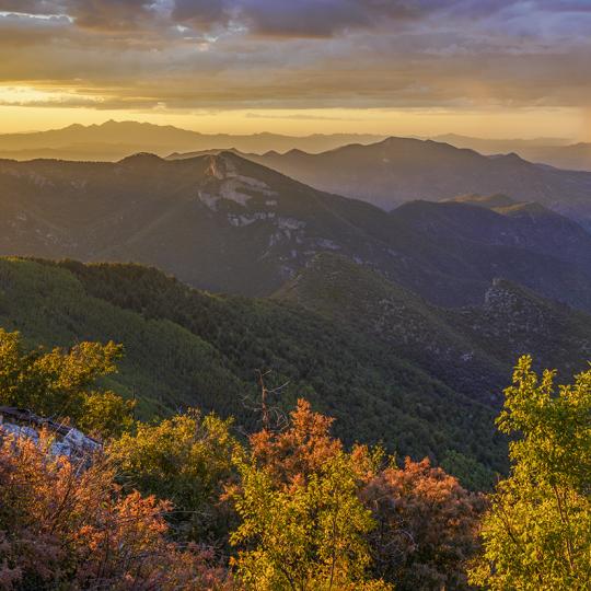 Fall foliage anchors a sunset view of the Huachuca Mountains and the distant Santa Rita Mountains from the summit of Carr Peak. By Laurence Parent