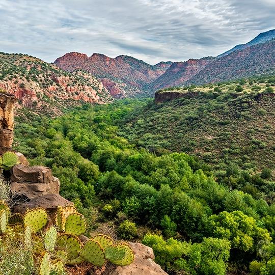 0117_packardmesatrail.jpg 0117_packardmesatrail.jpg