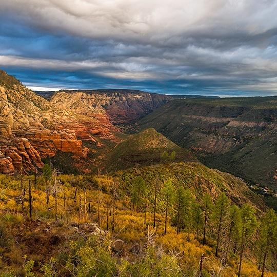 1016_northwilsontrail.jpg 1016_northwilsontrail.jpg