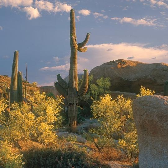 drive_central_florence_70.jpg drive_central_florence_70.jpg