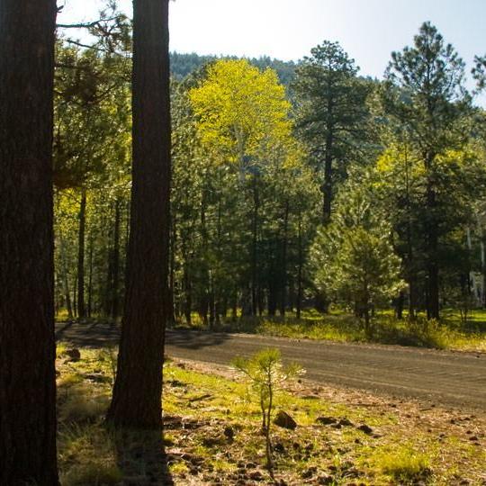 drive_east_mcnary_113.jpg drive_east_mcnary_113.jpg